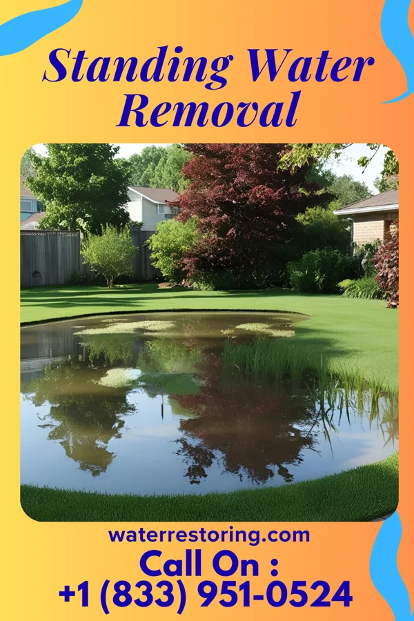 Standing Water Removal in Shoal Creek Estates, MO
